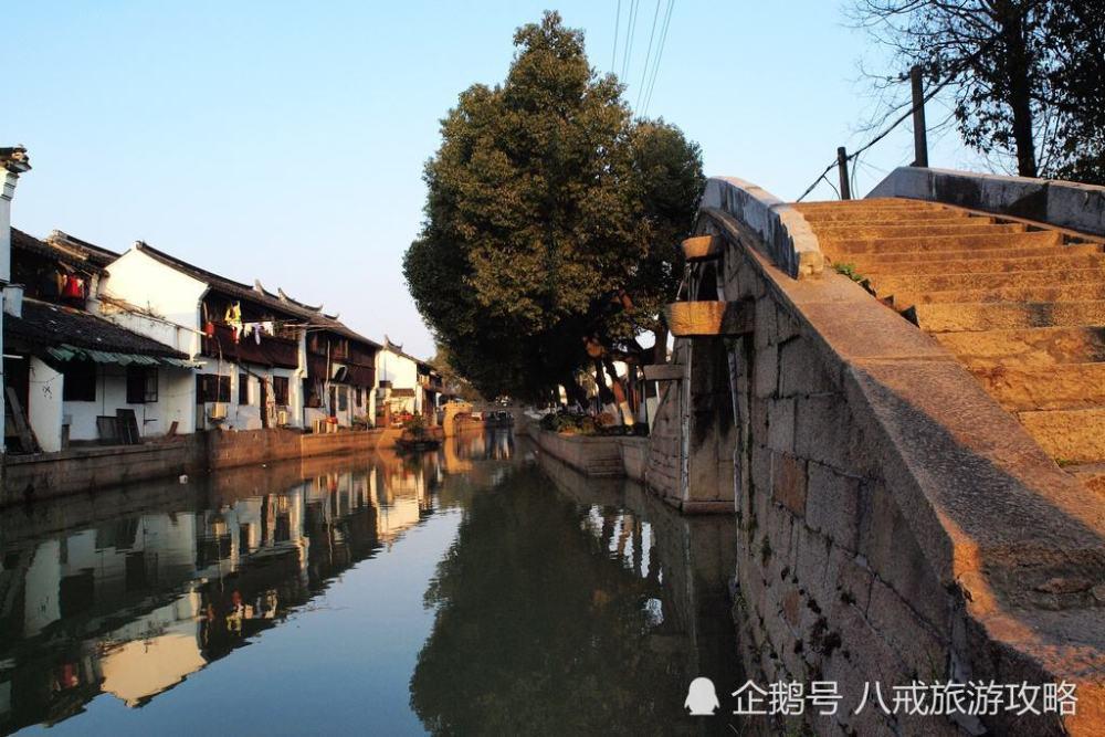 小僵尸射飞鸟